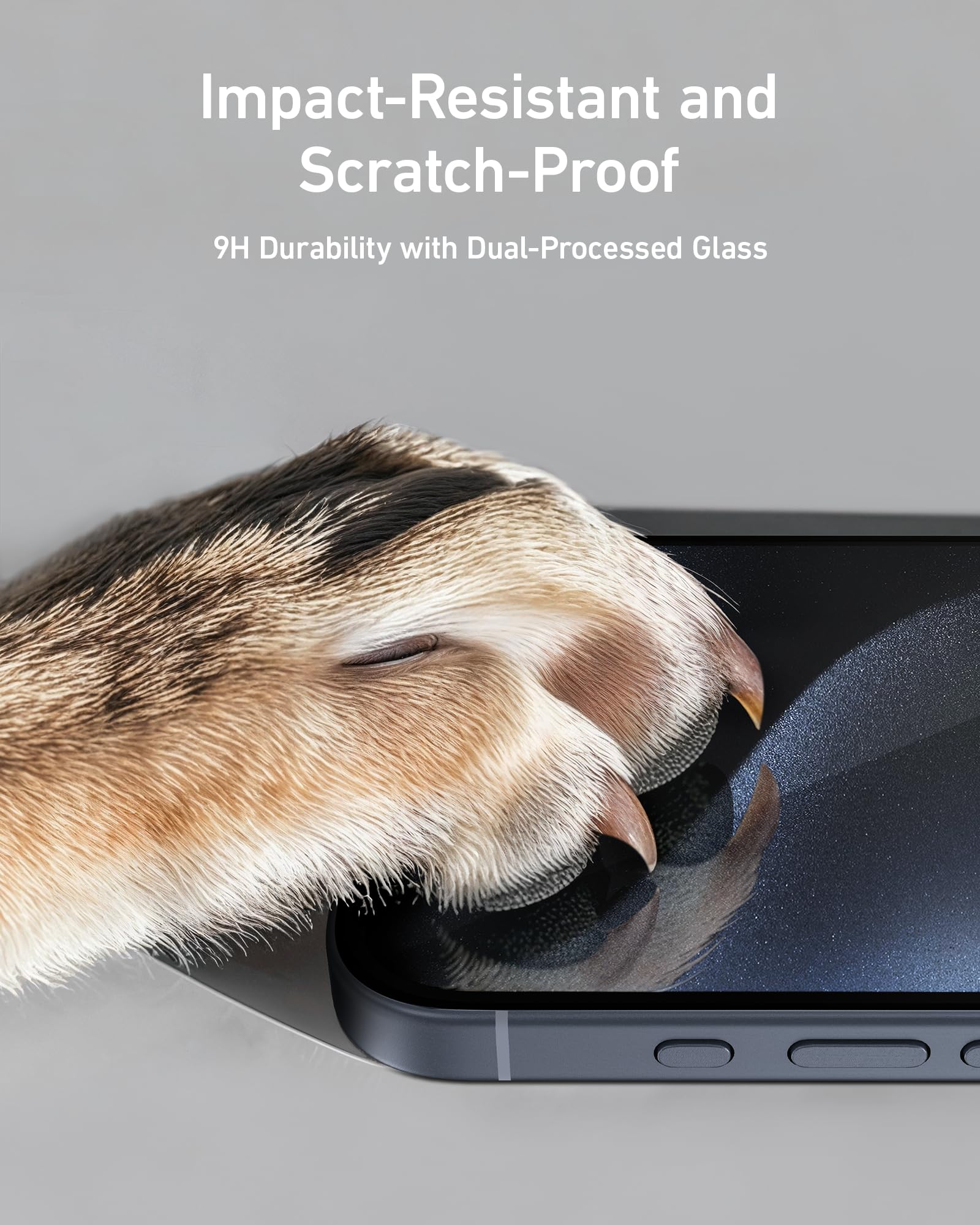 Anker Screen Protector  Kit  (HD, 2-Pack)